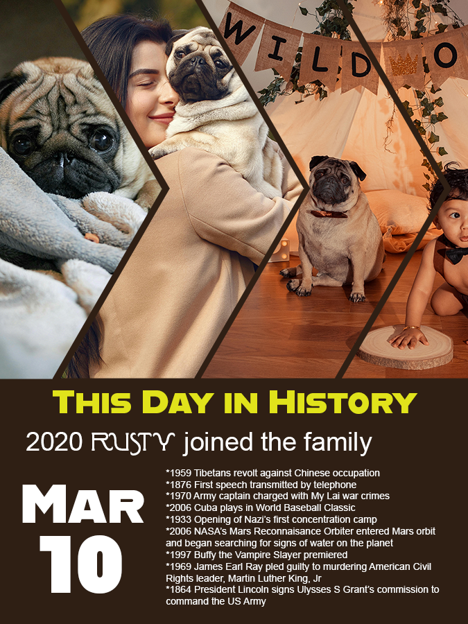 This Day in History - Pet Adoption - Custom Wall Art Print